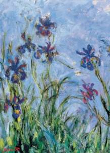 Dėlionė Irisai Claude Monet 1000 detalių