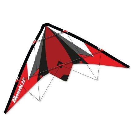 Spalvingas, sportinis Aitvaras SPEEDY 2