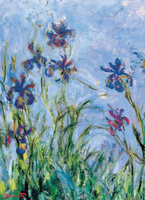 Dėlionė Irisai Claude Monet 1000 detalių