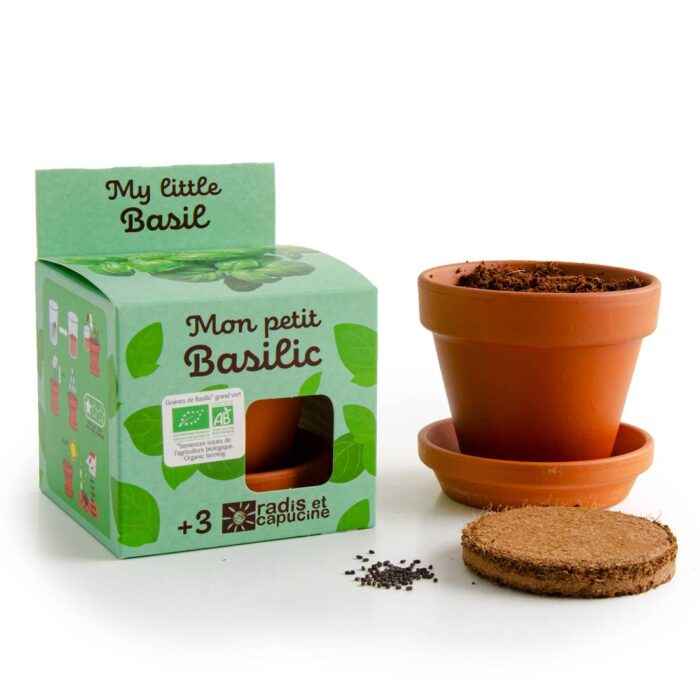 Rinkinys auginimui EKO "Bazilikas" - Image 6