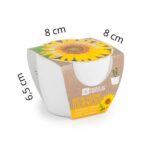 Rinkinys auginimui BIO "Saulėgrąža" 8 cm - Image 9