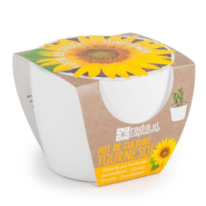 Rinkinys auginimui BIO "Saulėgrąža" 8 cm - Image 6