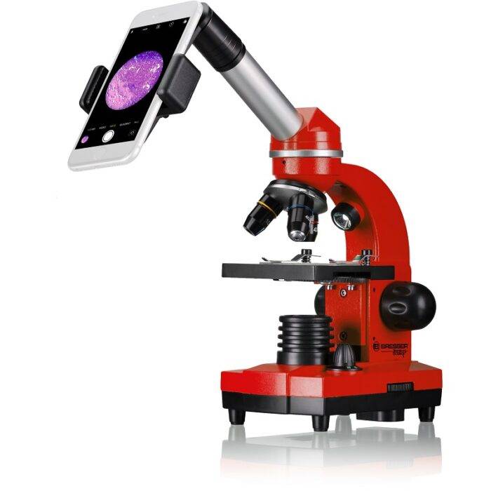 Mikroskopas BIOLUX SEL JUNIOR Student 40x-1600x