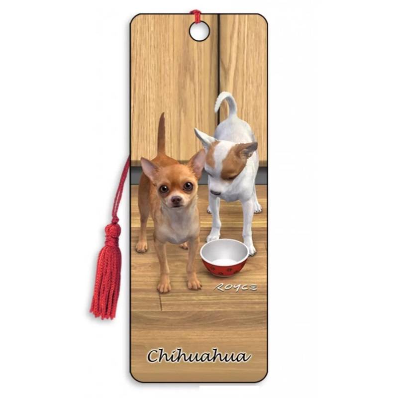 3D skirtukas Čihuahua (Chihuahua)