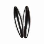 Dainuojantys magnetai (Buzz magnetai) 6cm