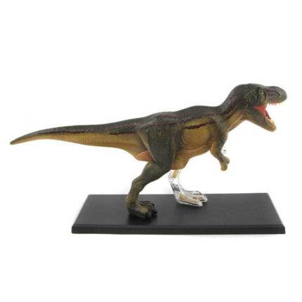 Konstruktorius Dinozauro T-REX anatomija 38cm
