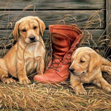 Dėlionė Šuniukai su batais 1000