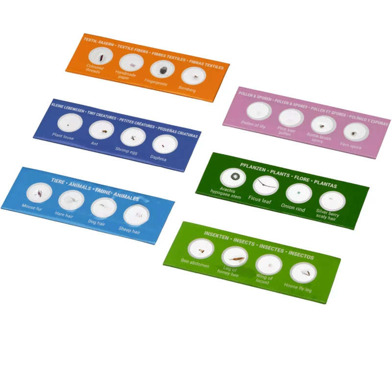 Pradinis rinkinys mikroskopo mėginėlių 24