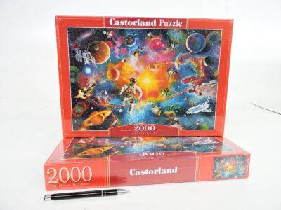 Dėlionė Žmogus kosmose 2000