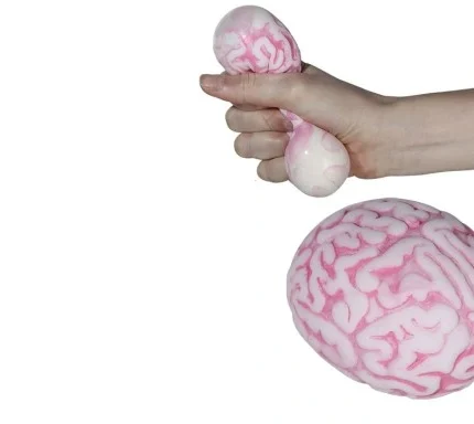 Smegenų formos antistresinis kamuoliukas