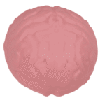 Squeeze Brain antistreso žaislas 15cm