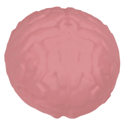 Squeeze Brain antistreso žaislas 15cm