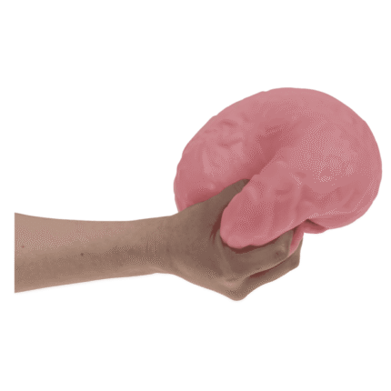 Antistresinis žaislas Smegenys XL 15,5cm