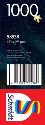 Dėlionė Nesvarumas kosmose 1000