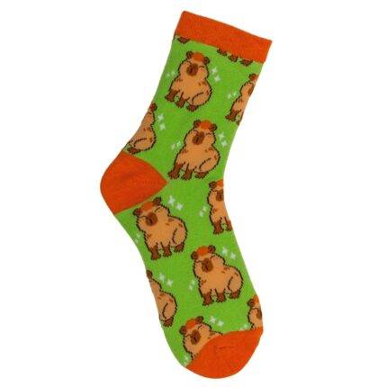 Kojinės Kapibara vaikams 1 pora