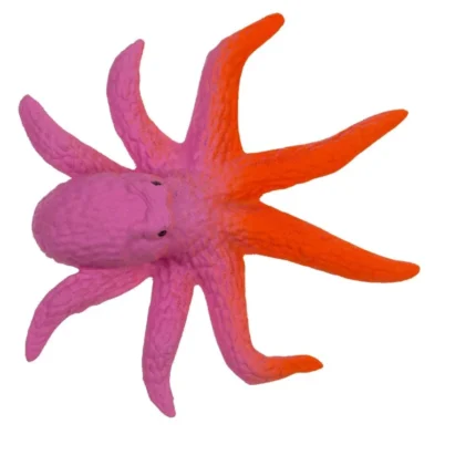 Augantis jūros gyvūnas 10cm