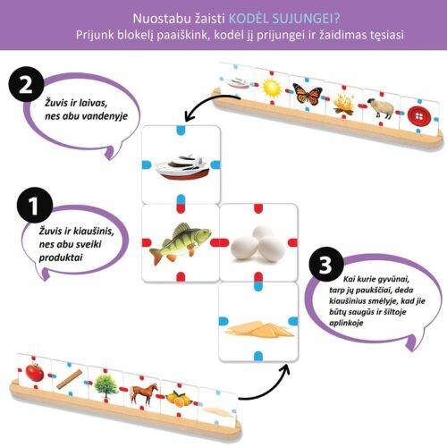 Stalo žaidimas Kodėl sujungei? (Why Connect?) 2-4 žaidėjai