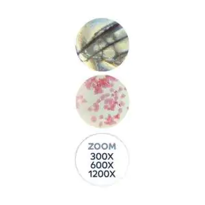 Mikroskopas 300x-1200x su 40 eksperimentų