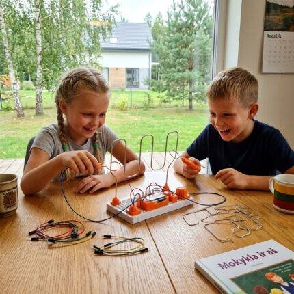 Elektrinis labirintas – Išbandyk savo rankos tikslumą ir kantrybę!