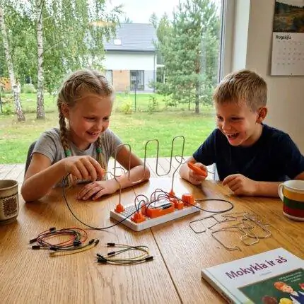 Elektrinis labirintas – Išbandyk savo rankos tikslumą ir kantrybę!
